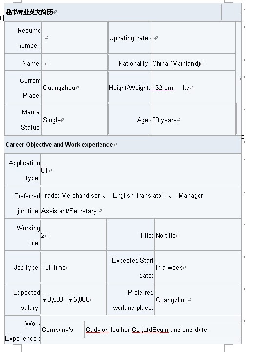 秘書專業英文簡歷模板（清晰版）