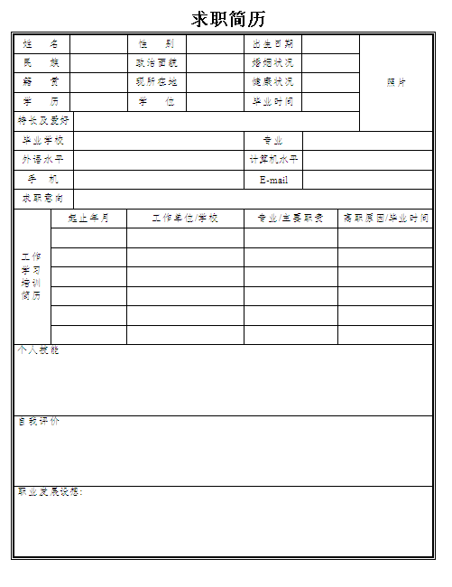 軟件開發員個人簡歷表格